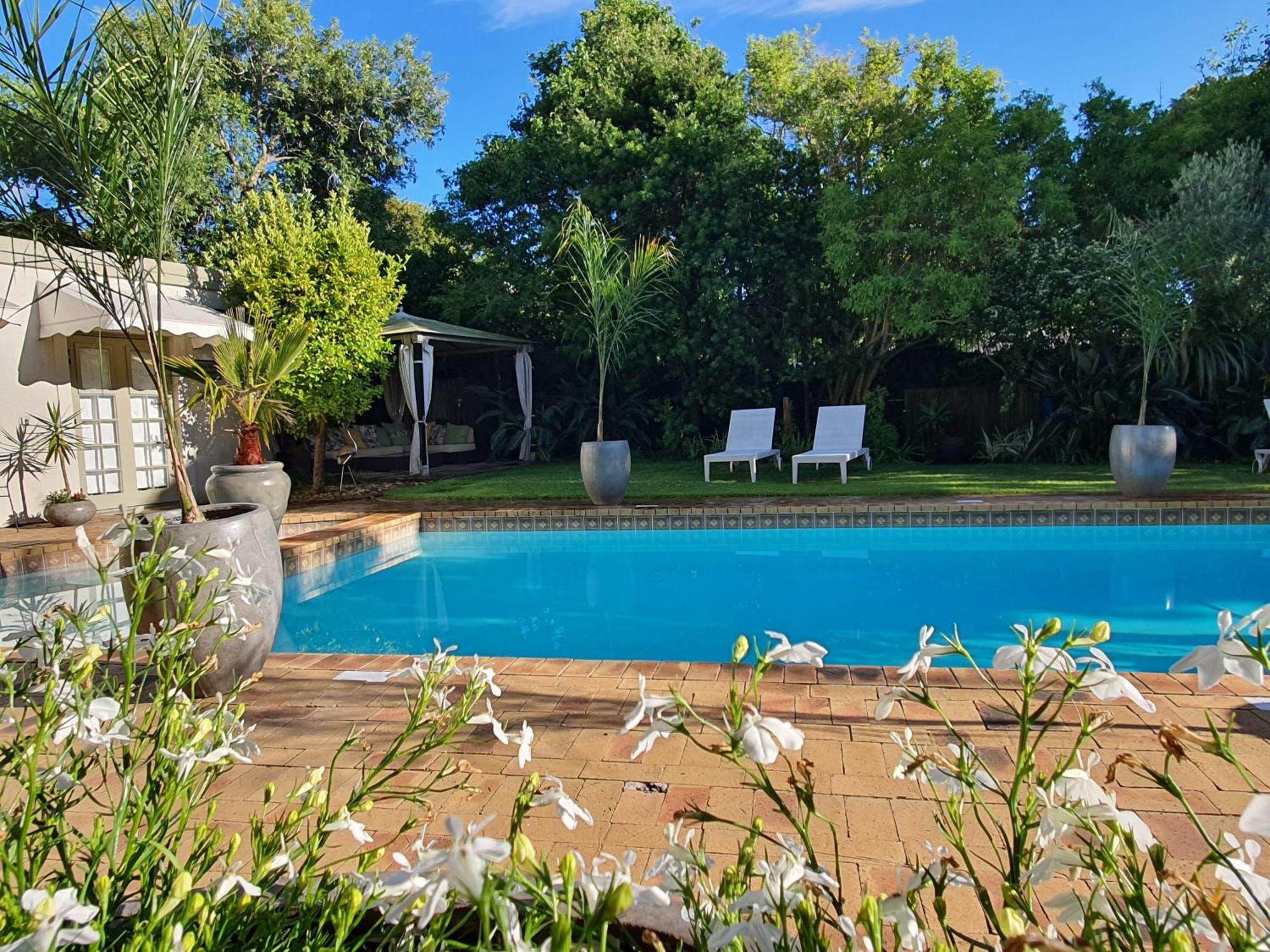 Wild Olive Guest House & Villa Cape Town Exterior photo