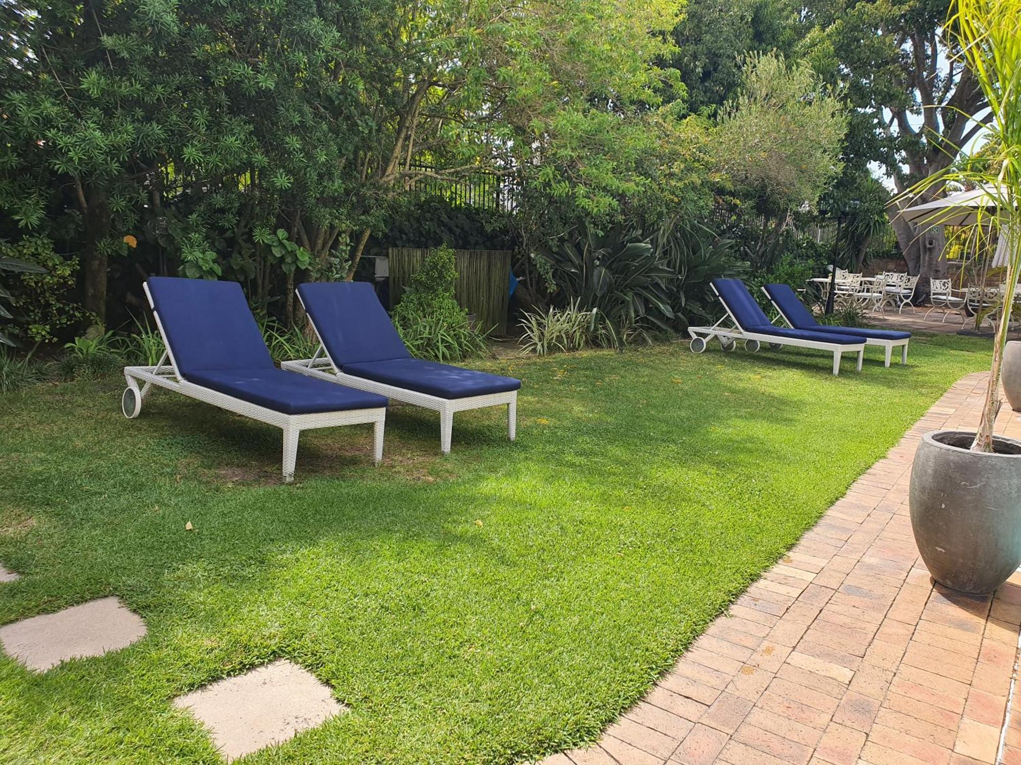 Wild Olive Guest House & Villa Cape Town Exterior photo