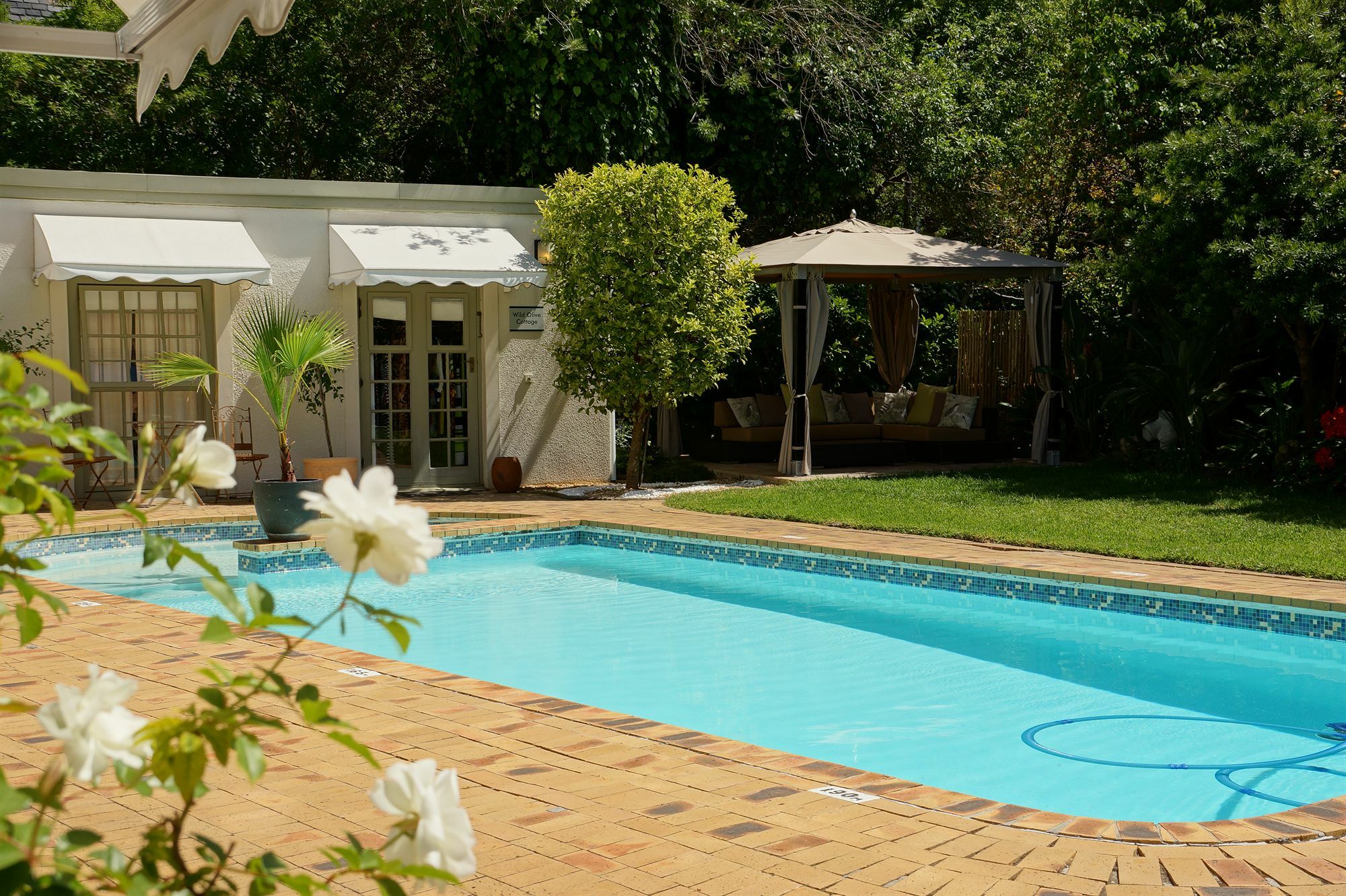 Wild Olive Guest House & Villa Cape Town Exterior photo